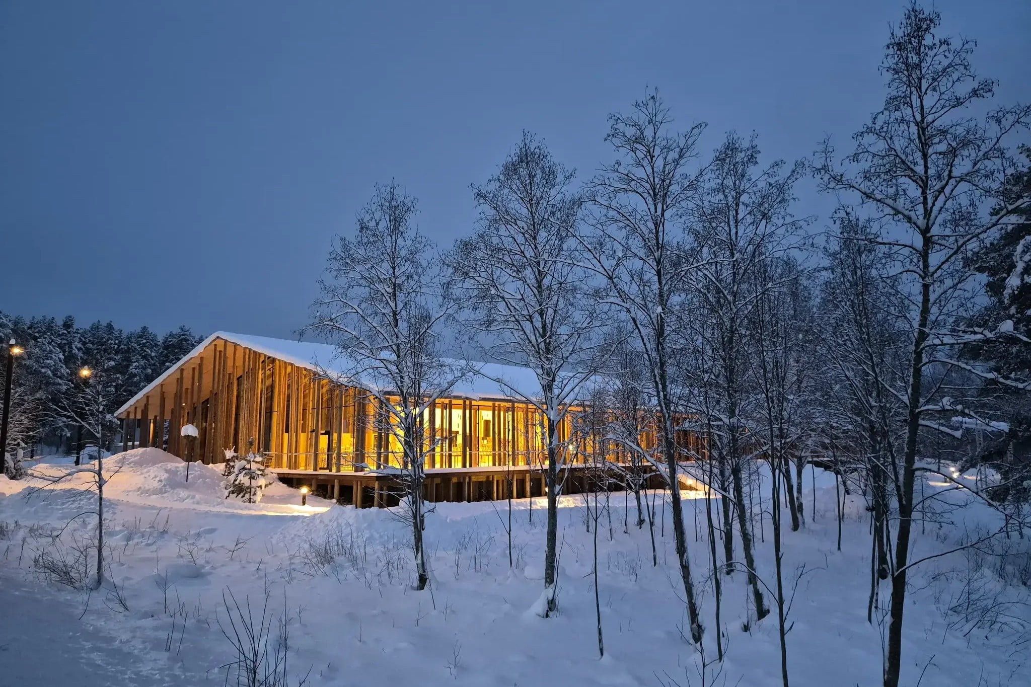 Norsk skogfinsk museum
